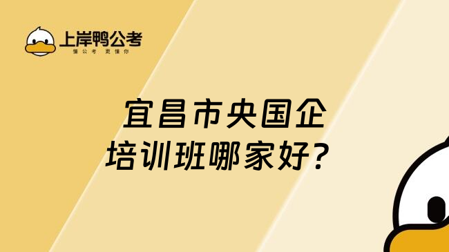 宜昌市央国企培训班哪家好？