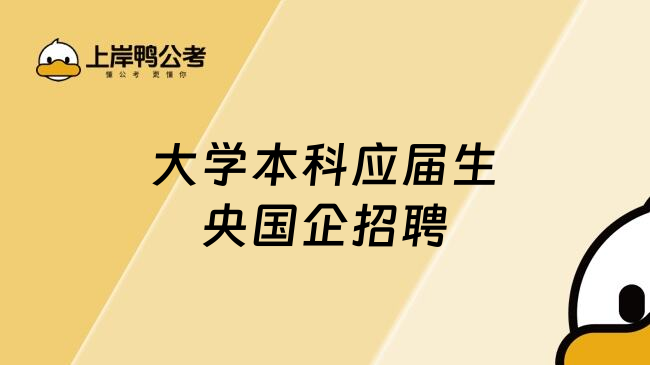 大学本科应届生央国企招聘