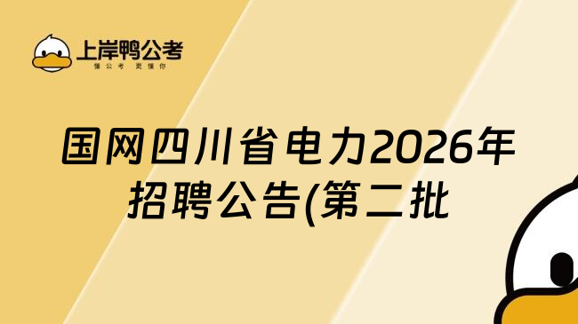 国网四川省电力2026年招聘公告(第二批