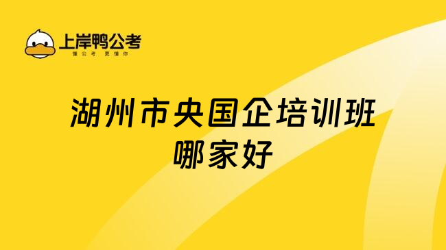 湖州市央国企培训班哪家好