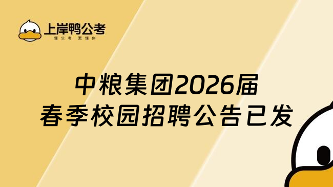 中粮集团2026届春季校园招聘公告已发