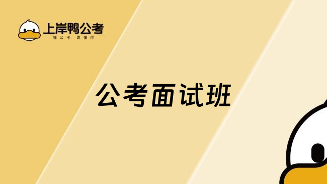 公考面试班