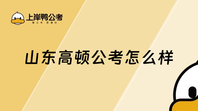 山东高顿公考怎么样