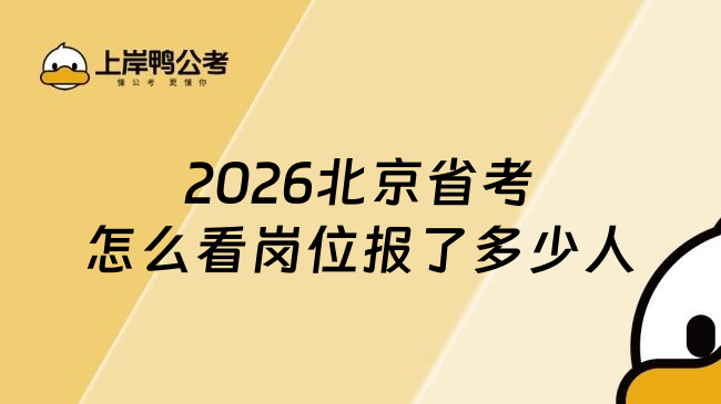 2026北京省考怎么看岗位报了多少人