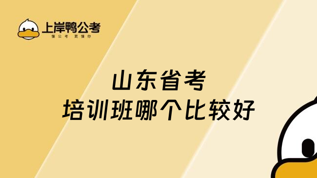 山东省考培训班哪个比较好