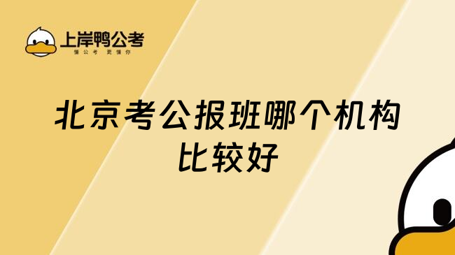 北京考公报班哪个机构比较好