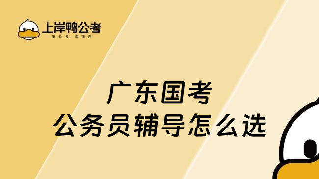 广东国考公务员辅导怎么选