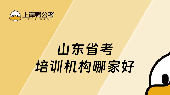 山东省考培训机构哪家好