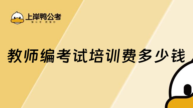 教师编考试培训费多少钱