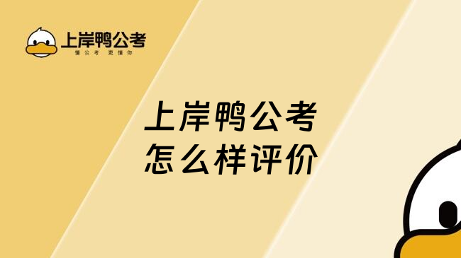 上岸鸭公考怎么样评价