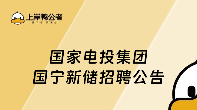 国家电投集团国宁新储招聘公告