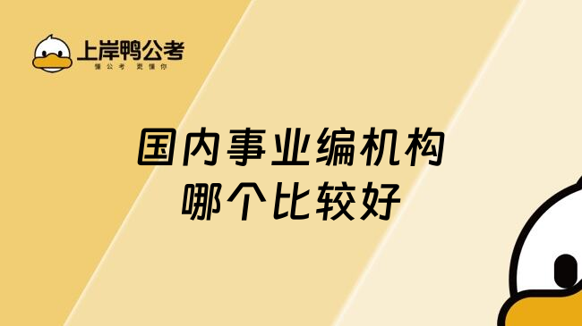 国内事业编机构哪个比较好