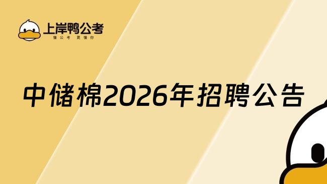 中储棉2026年招聘公告