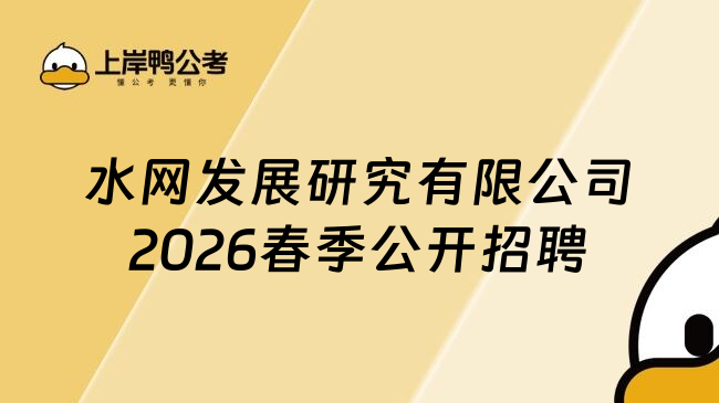 水网发展研究有限公司2026春季公开招聘