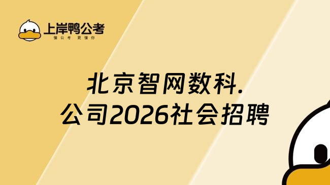 北京智网数科.公司2026社会招聘