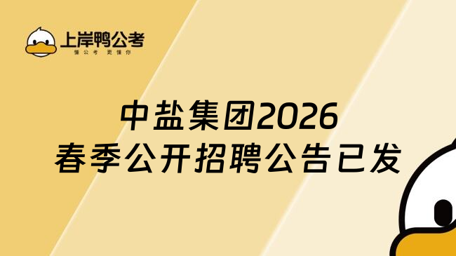 中盐集团2026春季公开招聘公告已发