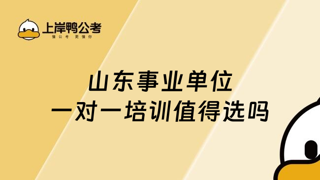 山东事业单位一对一培训值得选吗
