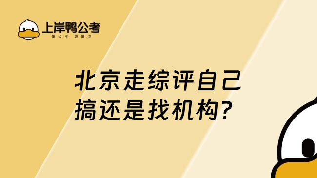 北京走综评自己搞还是找机构？