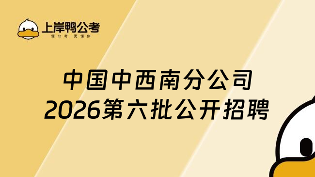 中国中西南分公司2026第六批公开招聘