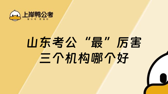 山东考公&ldquo;最&rdquo;厉害三个机构哪个好