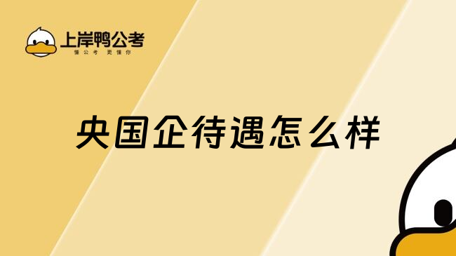 央国企待遇怎么样