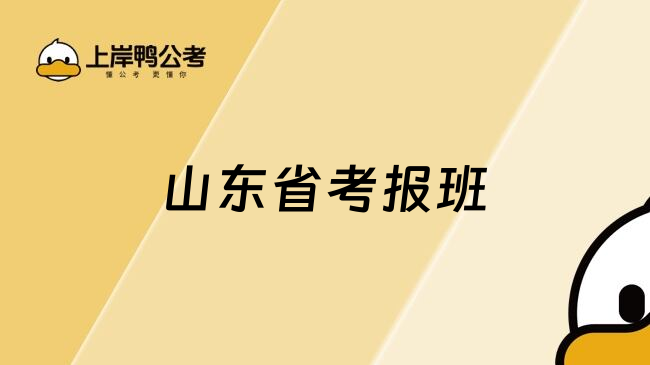 山东省考报班