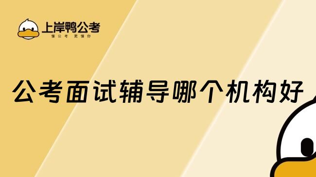 公考面试辅导哪个机构好