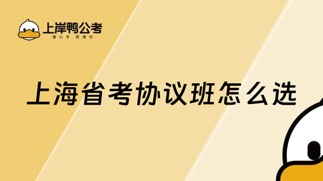 上海省考协议班怎么选