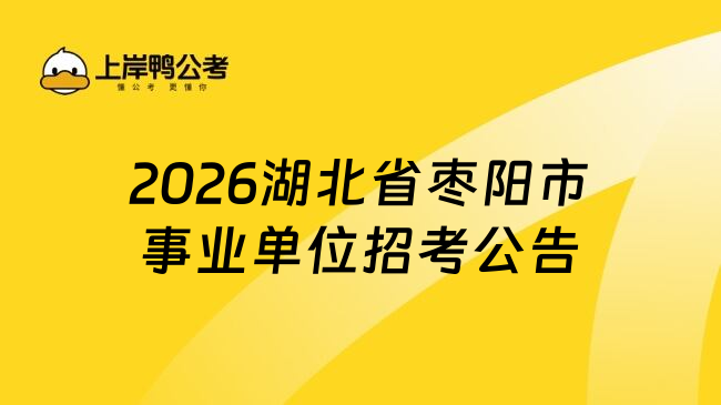 2026湖北省枣阳市事业单位招考公告