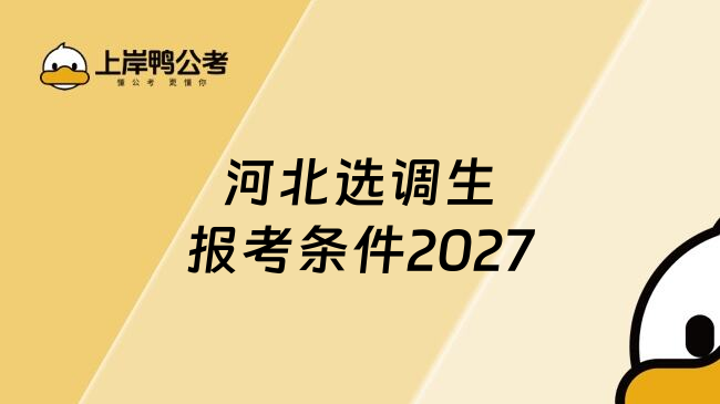 河北选调生报考条件2027