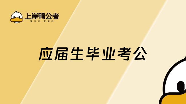 应届生毕业考公