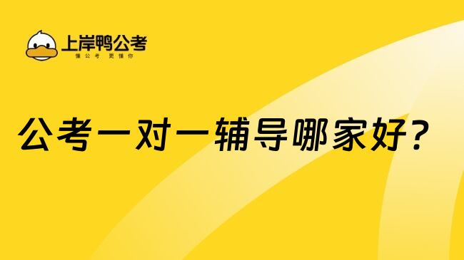 公考一对一辅导哪家好？