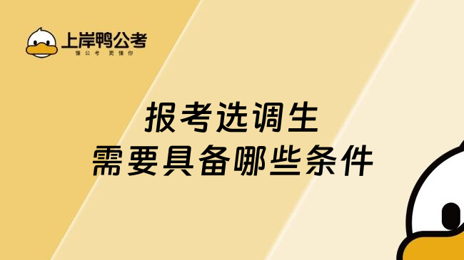 报考选调生需要具备哪些条件