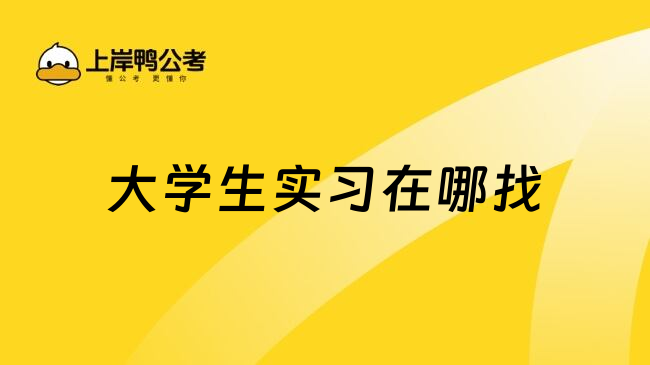 大学生实习在哪找