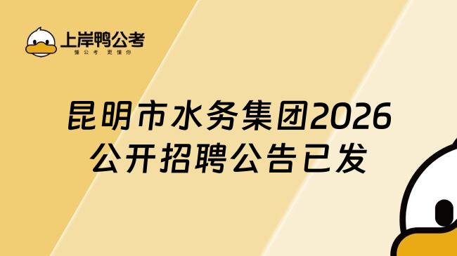 昆明市水务集团2026公开招聘公告已发