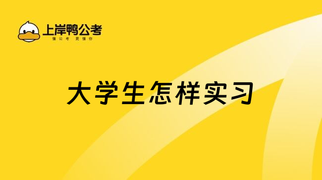 大学生怎样实习
