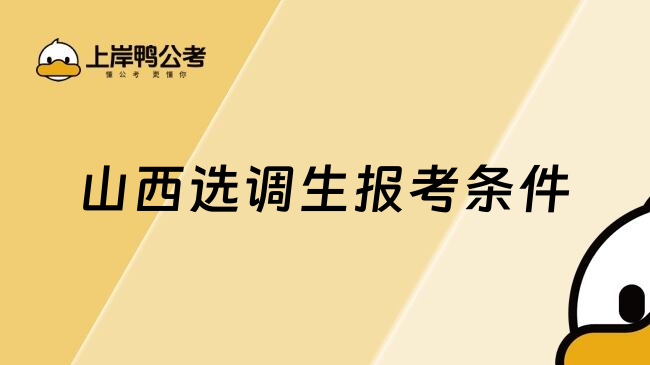 山西选调生报考条件