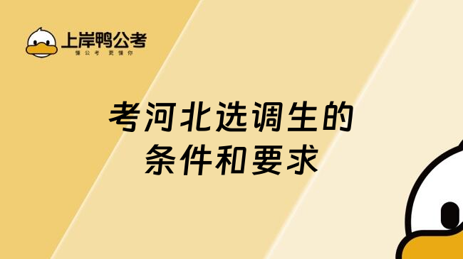 考河北选调生的条件和要求
