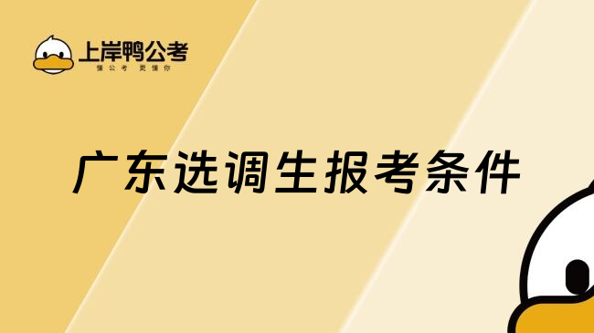 广东选调生报考条件