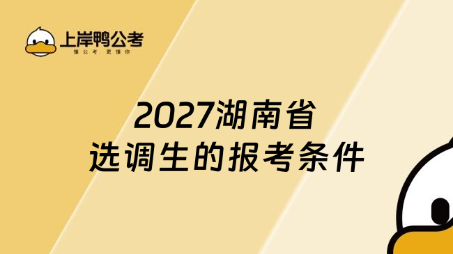 2027湖南省选调生的报考条件