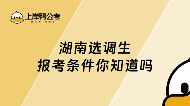 湖南选调生报考条件你知道吗