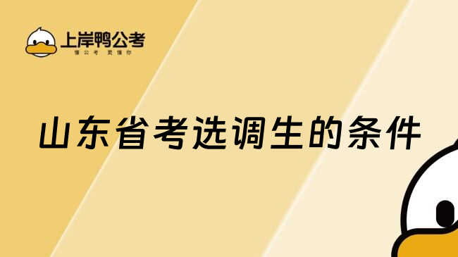 山东省考选调生的条件