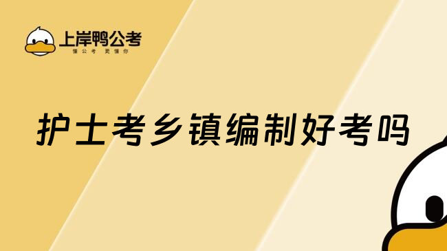 护士考乡镇编制好考吗