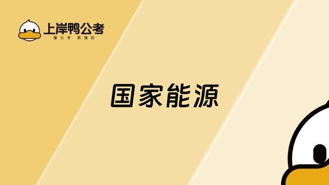 国家能源