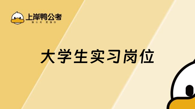 大学生实习岗位