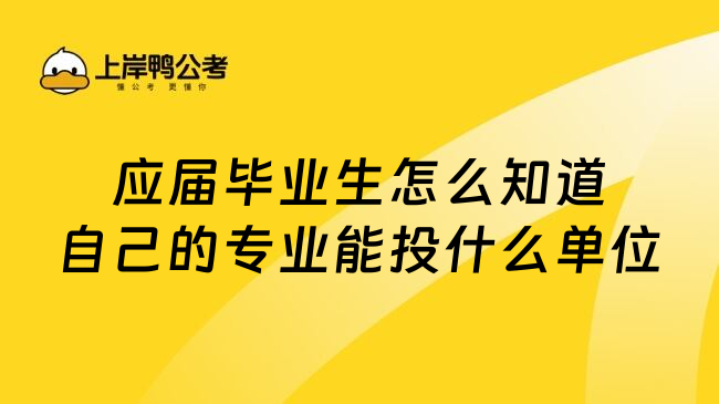 应届毕业生怎么知道自己的专业能投什么单位