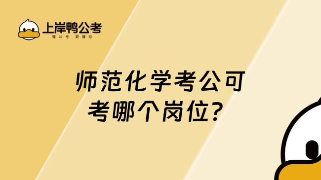 师范化学考公可考哪个岗位？