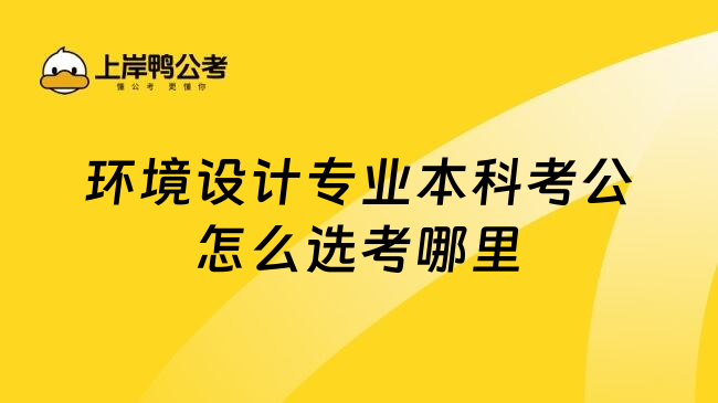 环境设计专业本科考公怎么选考哪里