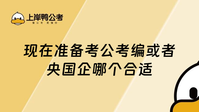 现在准备考公考编或者央国企哪个合适