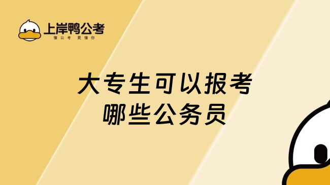 大专生可以报考哪些公务员
